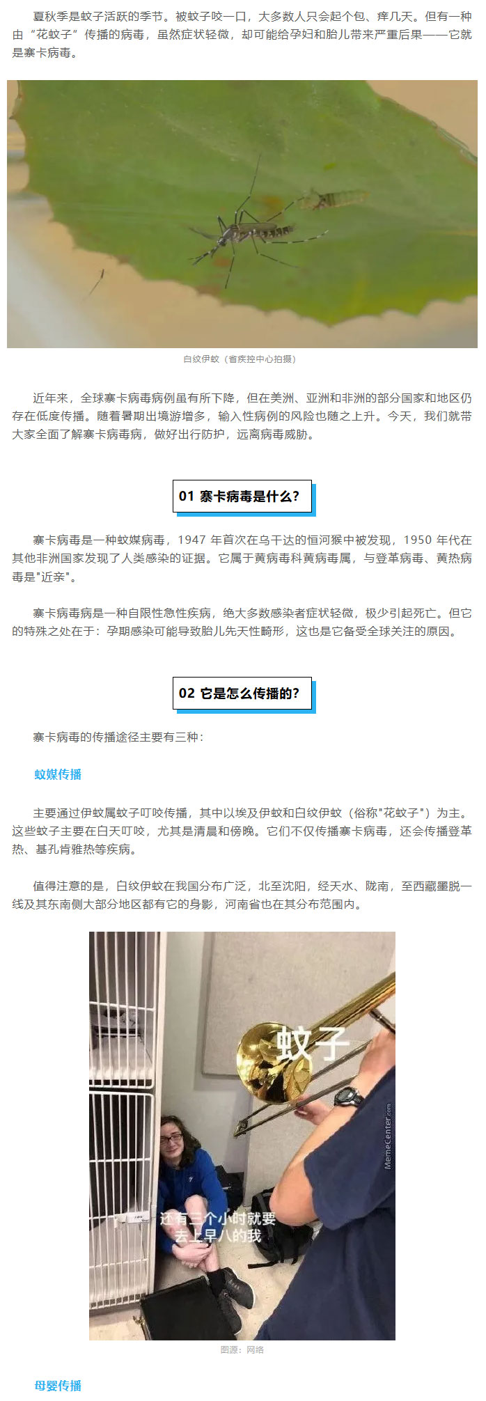被“花蚊子”叮了一口，除了痒，还要警惕这种疾病_01.jpg