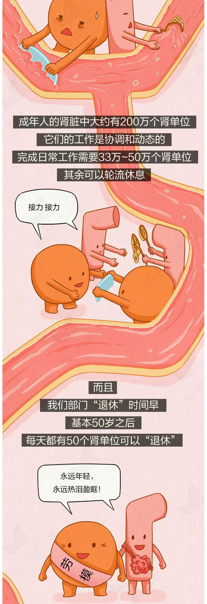 这4个坏习惯，正一点点透支你的肾_05.jpg